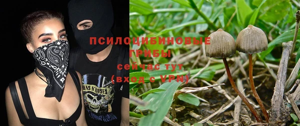 ALPHA-PVP Костерёво