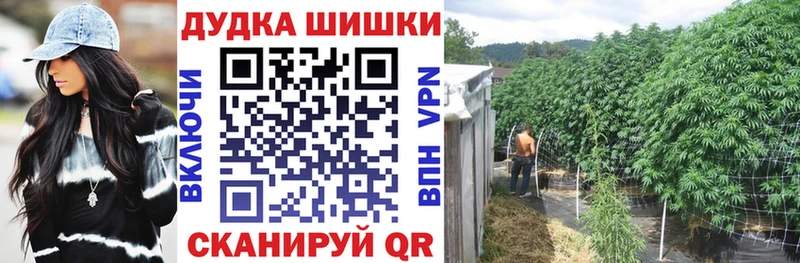 Конопля Amnesia  Малгобек 